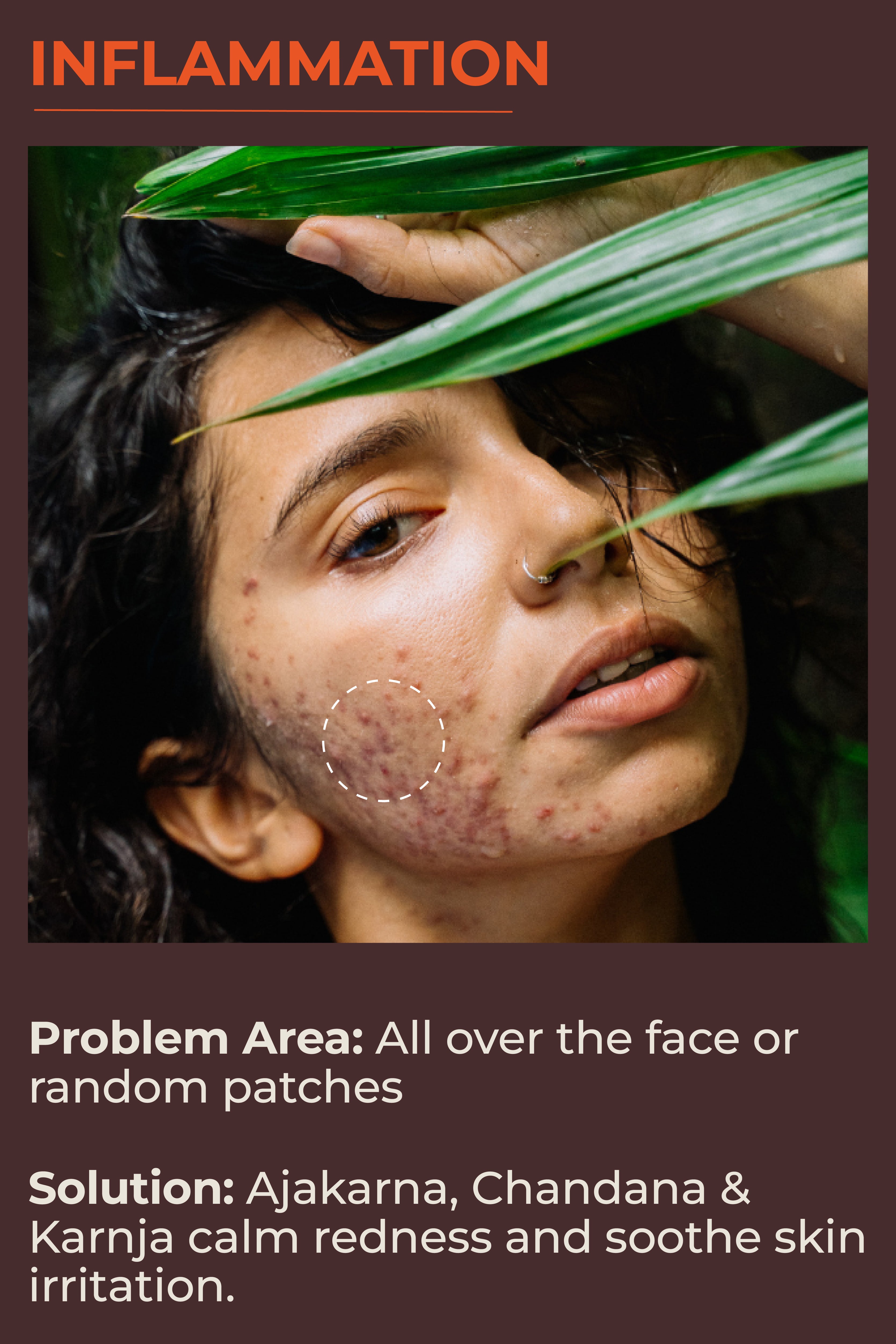 Mobile Slide Image