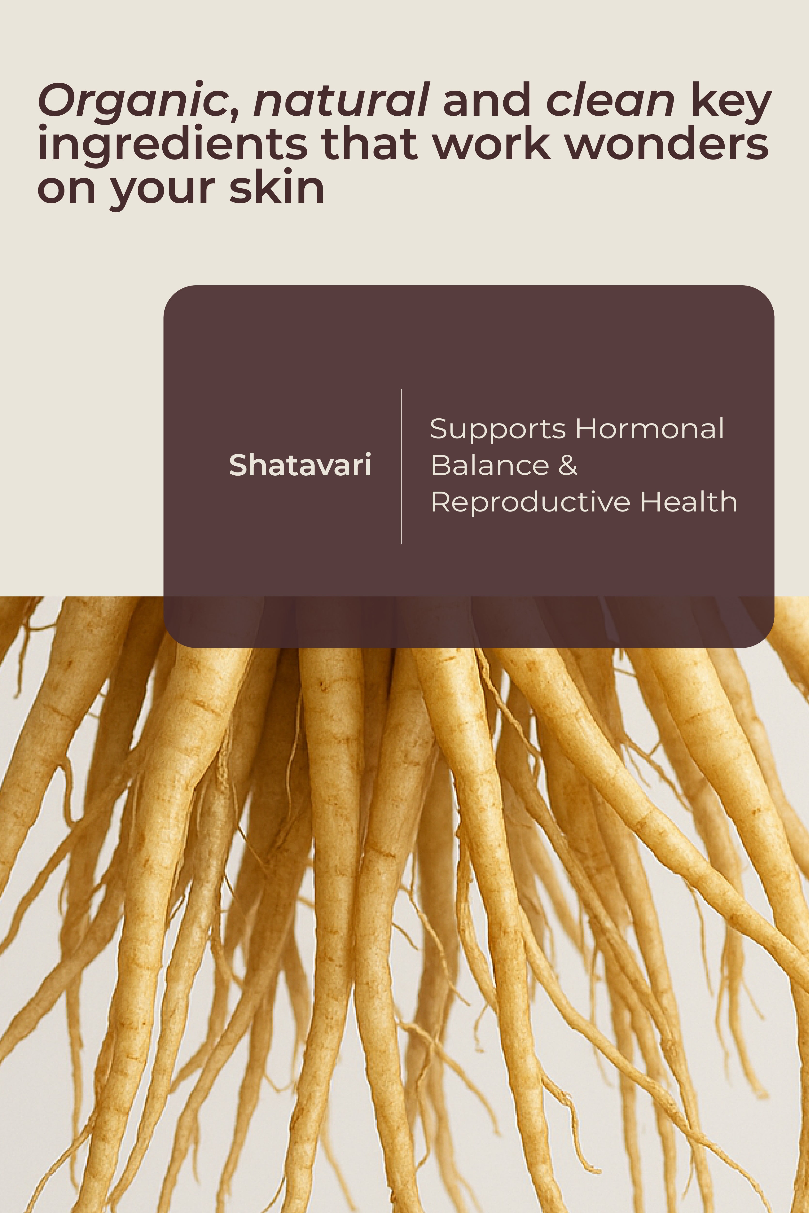 Mobile Slide Image