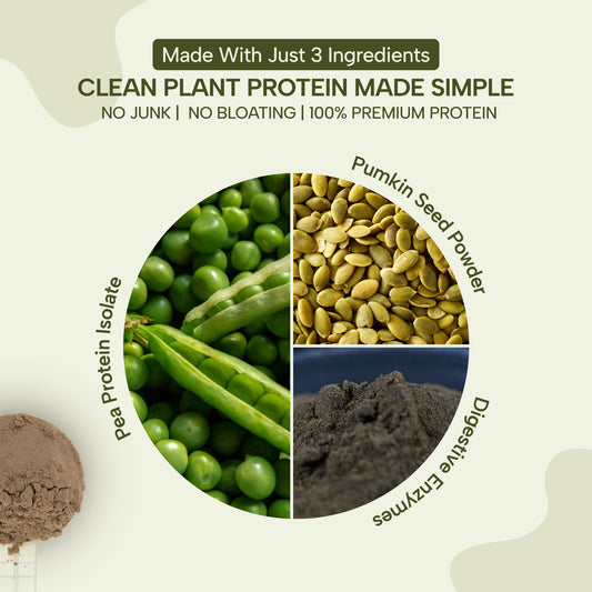 VEGAN PROTEIN POWDER (UNFLAVOURED) - 1KG